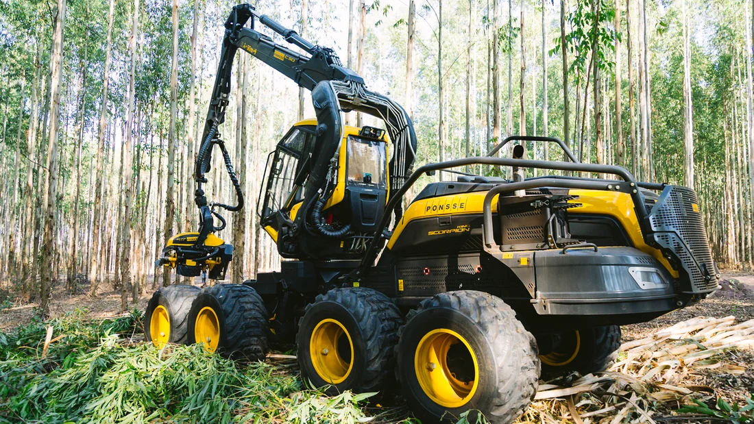 Abatteuse PONSSE Scorpion King complète en forêt