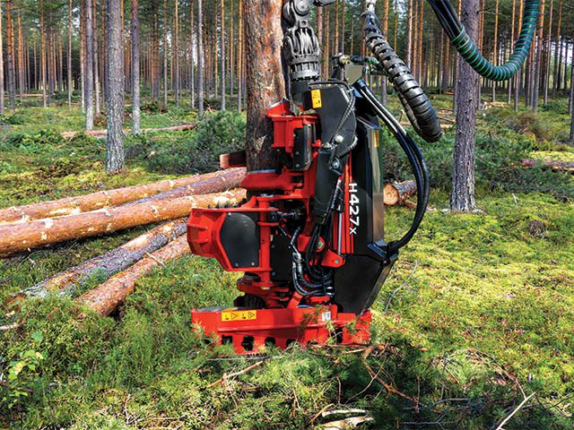 Tête d'abattage Waratah en environnement forestier